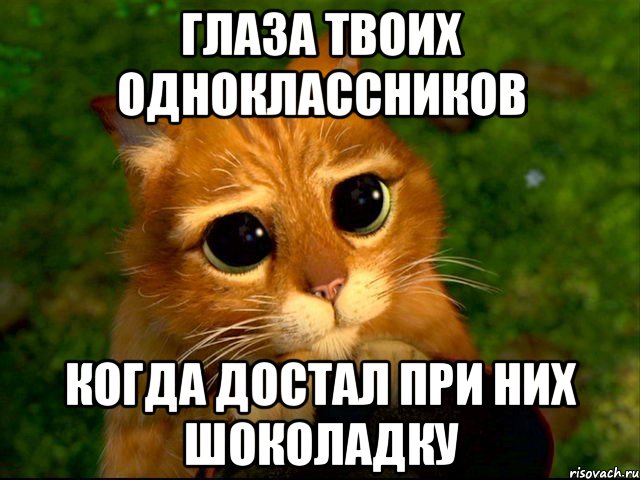 Глаза твоих одноклассников Когда достал при них шоколадку, Мем кот из шрека