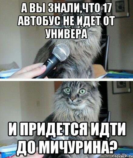 А ВЫ ЗНАЛИ,ЧТО 17 АВТОБУС НЕ ИДЕТ ОТ УНИВЕРА И ПРИДЕТСЯ ИДТИ ДО МИЧУРИНА?, Комикс  кот с микрофоном