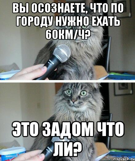 Вы осознаете, что по городу нужно ехать 60км/ч? Это задом что ли?, Комикс  кот с микрофоном