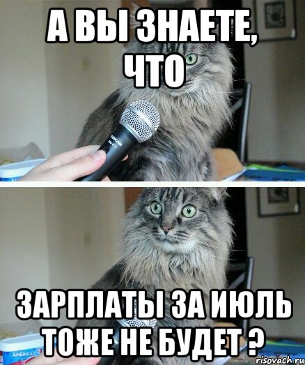 а вы знаете, что зарплаты за июль тоже не будет ?, Комикс  кот с микрофоном