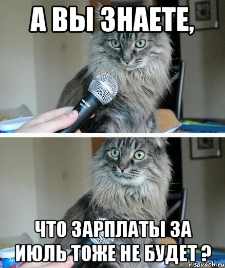 а вы знаете, что зарплаты за июль тоже не будет ?, Комикс  кот с микрофоном