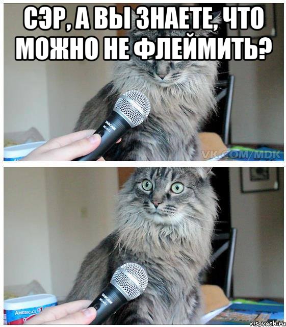 Сэр, а вы знаете, что можно не флеймить? , Комикс  кот с микрофоном