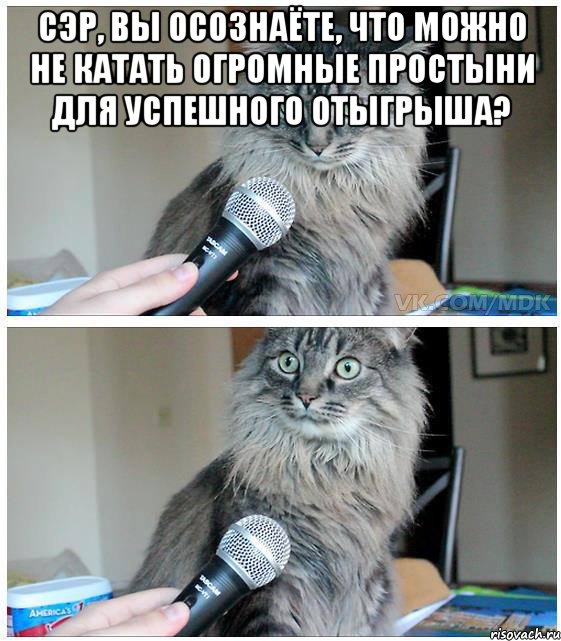 Сэр, вы осознаёте, что можно не катать огромные простыни для успешного отыгрыша? , Комикс  кот с микрофоном