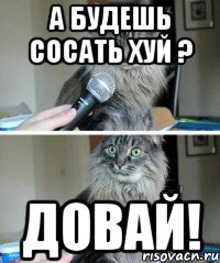 а будешь сосать хуй ? довай!, Комикс  кот с микрофоном