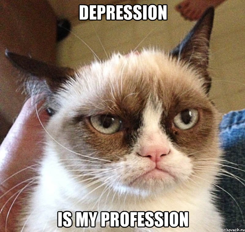 Depression is my profession, Мем Грустный (сварливый) кот