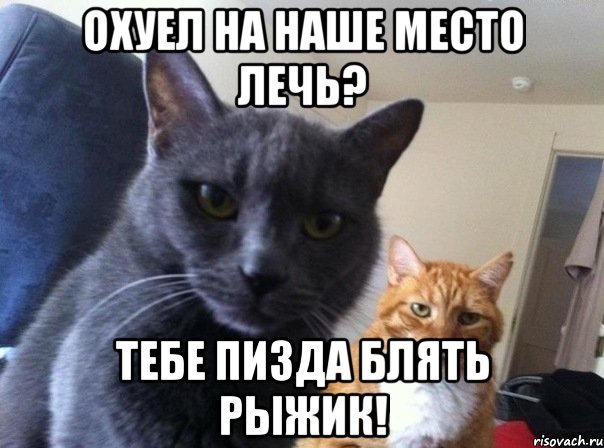 охуел на наше место лечь? тебе пизда блять рыжик!, Мем  Два котэ