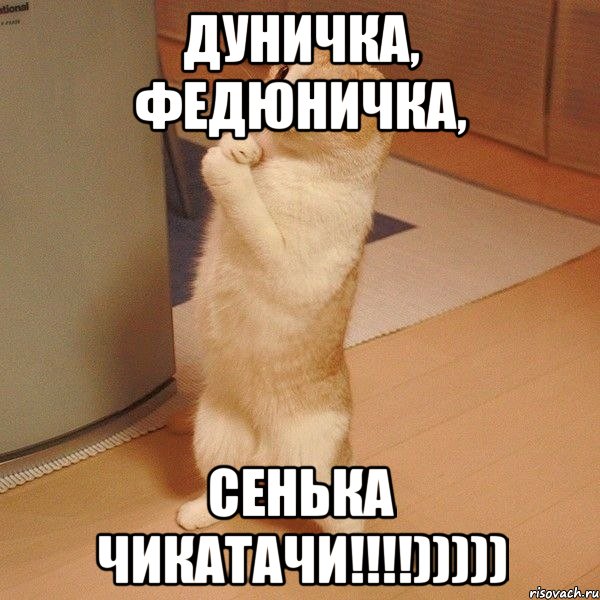 Дуничка, Федюничка, Сенька чикатачи!!!!))))), Мем  котэ молится