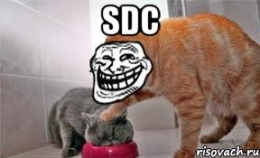 sdc 