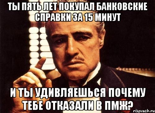 ты пять лет покупал банковские справки за 15 минут и ты удивляешься почему тебе отказали в ПМЖ?, Мем крестный отец