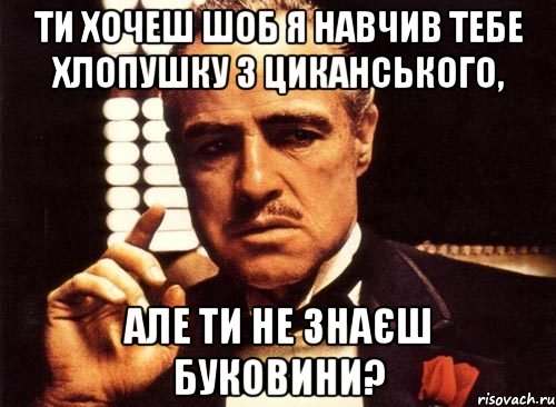 ти хочеш шоб я навчив тебе хлопушку з циканського, але ти не знаєш буковини?, Мем крестный отец