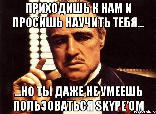 Приходишь к нам и просишь научить тебя... ...но ты даже не умеешь пользоваться Skype'ом, Мем крестный отец