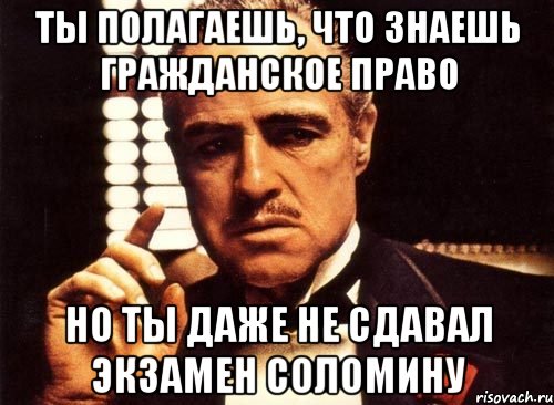 Ты полагаешь, что знаешь гражданское право но ты даже не сдавал экзамен Соломину, Мем крестный отец