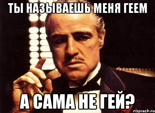 ты называешь меня геем а сама не гей?, Мем крестный отец