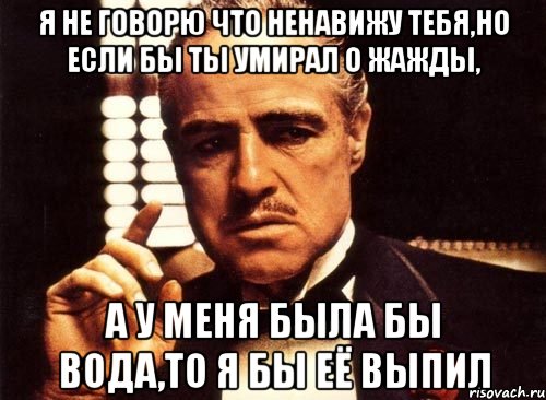 я не говорю что ненавижу тебя,но если бы ты умирал о жажды, а у меня была бы вода,то я бы её выпил, Мем крестный отец