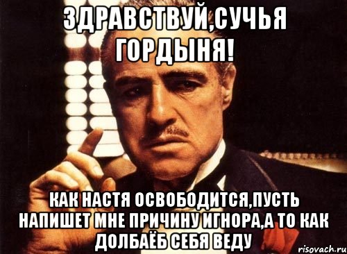 Здравствуй,Сучья гордыня! Как Настя освободится,пусть напишет мне причину игнора,а то как долбаёб себя веду, Мем крестный отец