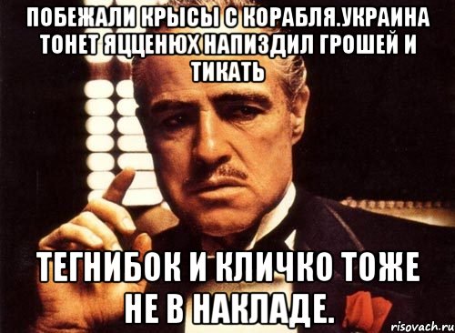 Побежали крысы с корабля.украина тонет яцценюх напиздил грошей и тикать Тегнибок и кличко тоже не в накладе., Мем крестный отец