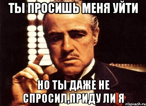 ТЫ ПРОСИШЬ МЕНЯ УЙТИ НО ТЫ ДАЖЕ НЕ СПРОСИЛ,ПРИДУ ЛИ Я, Мем крестный отец