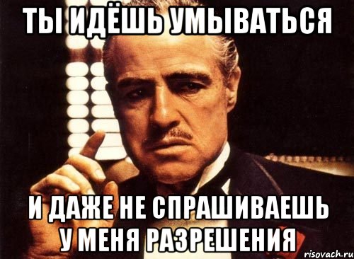 Ты идёшь умываться И даже не спрашиваешь у меня разрешения, Мем крестный отец