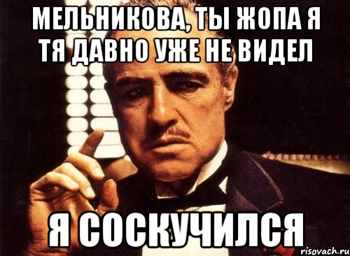 Мельникова, ты жопа я тя давно уже не видел Я соскучился, Мем крестный отец