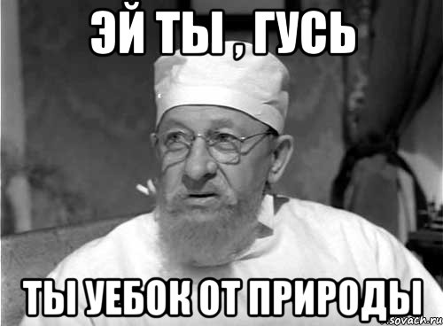 эй ты , гусь Ты уебок от природы, Мем Профессор Преображенский