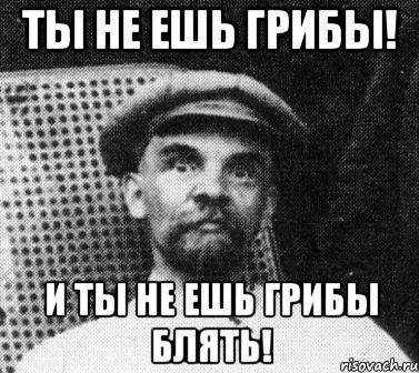 Ты не ешь грибы! И ты не ешь грибы блять!, Мем   Ленин удивлен