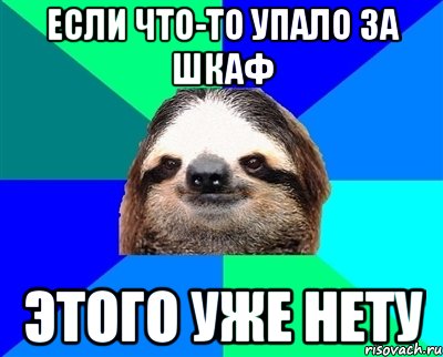 если что-то упало за шкаф этого уже нету, Мем Ленивец