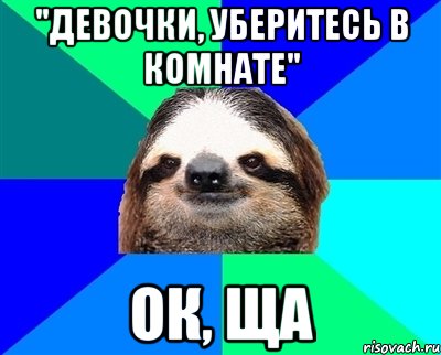 "Девочки, уберитесь в комнате" Ок, ща, Мем Ленивец