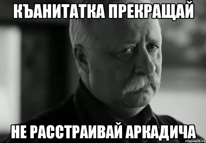 къанитатка прекращай не расстраивай аркадича, Мем Не расстраивай Леонида Аркадьевича