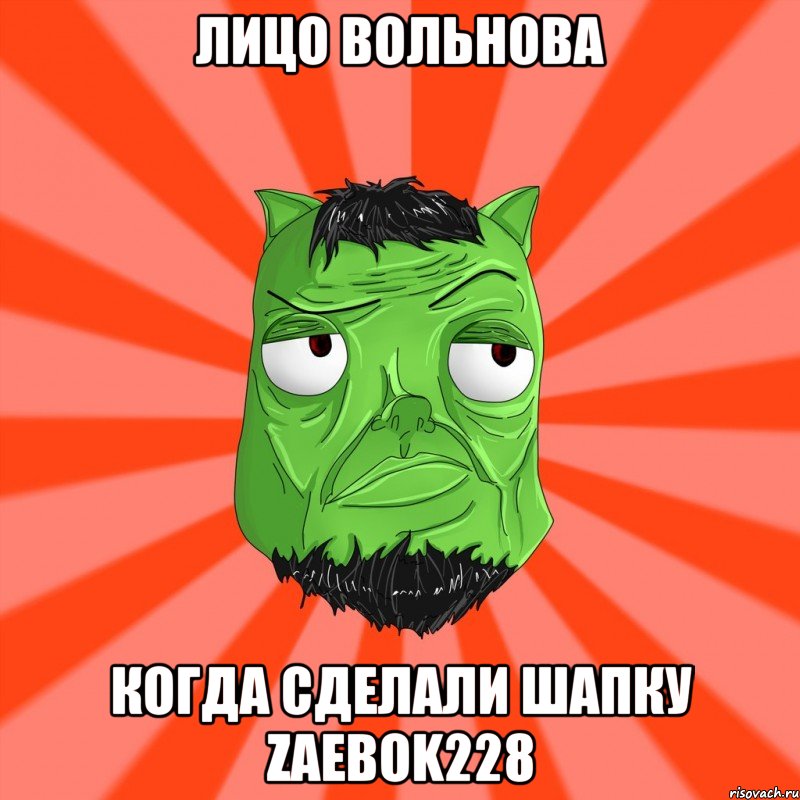 Лицо Вольнова Когда сделали шапку Zaebok228, Мем Лицо Вольнова когда ему говорят