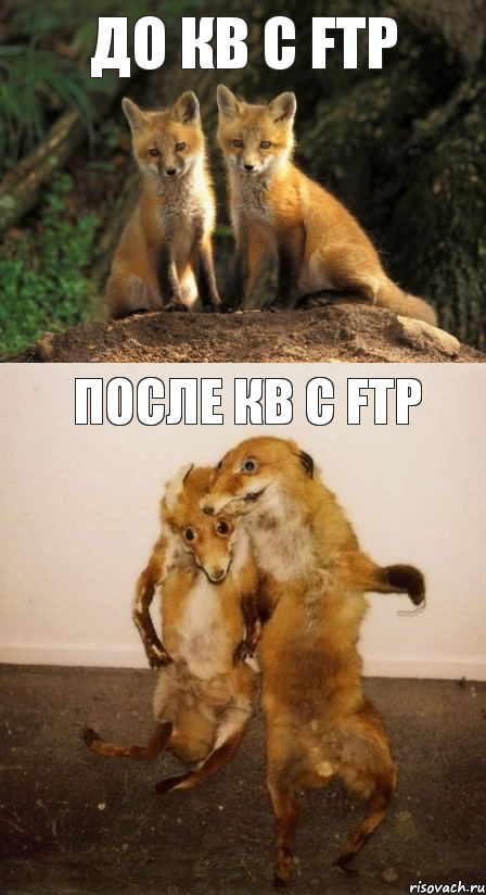 До Кв с FTP После Кв с FTP, Комикс Лисицы