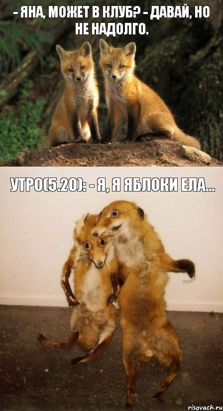 - Яна, может в клуб? - Давай, но не надолго. Утро(5.20): - Я, я яблоки ела..., Комикс Лисицы