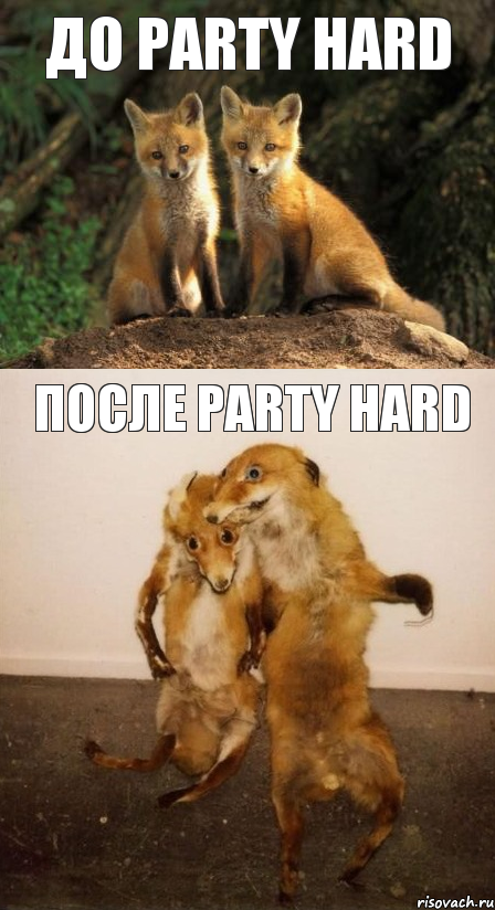 до Party Hard после Party Hard, Комикс Лисицы