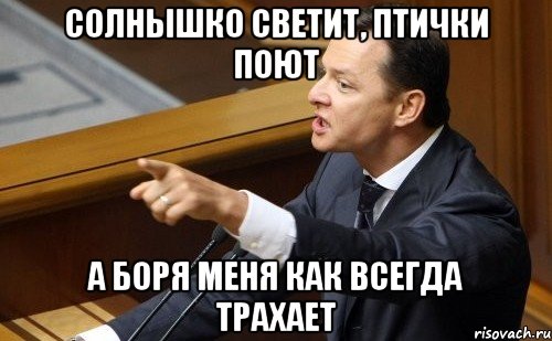 Солнышко светит, птички поют А Боря меня как всегда трахает, Мем ляшко