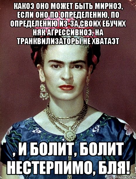 Какоэ оно может быть мирноэ, если оно по определению, по определению из-за своих ебучих НЯК агрессивноэ, на транквилизаторы не хватаэт , и болит, болит нестерпимо, бля!, Мем Magdalena Carmen Frieda Kahlo Ca