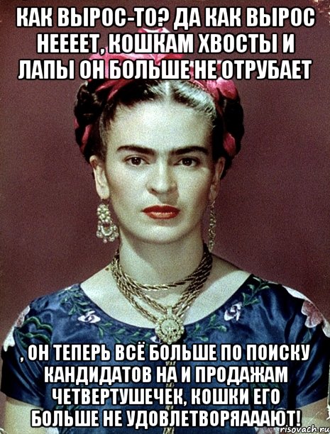 Как вырос-то? Да как вырос неееет, кошкам хвосты и лапы он больше не отрубает , он теперь всё больше по поиску кандидатов на и продажам четвертушечек, кошки его больше не удовлетворяааают!, Мем Magdalena Carmen Frieda Kahlo Ca