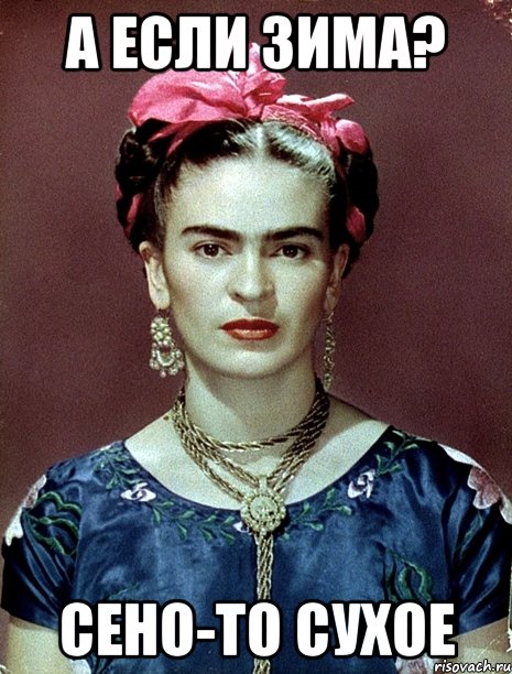 А если зима? Сено-то сухое, Мем Magdalena Carmen Frieda Kahlo Ca
