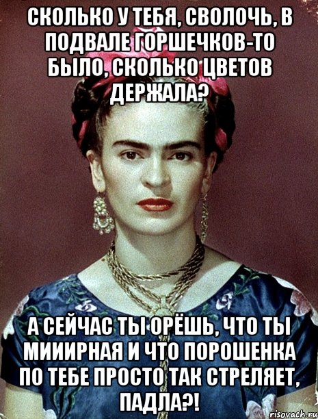 Сколько у тебя, сволочь, в подвале горшечков-то было, сколько цветов держала? А сейчас ты орёшь, что ты мииирная и что Порошенка по тебе просто так стреляет, падла?!, Мем Magdalena Carmen Frieda Kahlo Ca