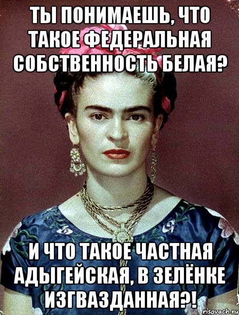 ты понимаешь, что такое федеральная собственность белая? и что такое частная адыгейская, в зелёнке изгвазданная?!, Мем Magdalena Carmen Frieda Kahlo Ca