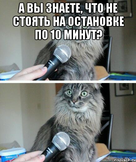 А вы знаете, что не стоять на остановке по 10 минут? , Комикс  кот с микрофоном