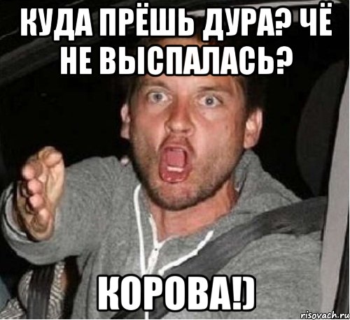 Куда прёшь дура? Чё не выспалась? Корова!)