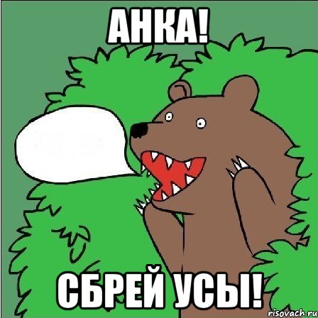 АНКА! СБРЕЙ УСЫ!, Мем Медведь-шлюха