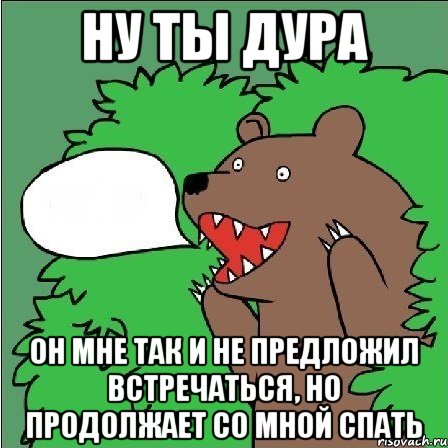 Ну ты дура он мне так и не предложил встречаться, но продолжает со мной спать, Мем Медведь-шлюха