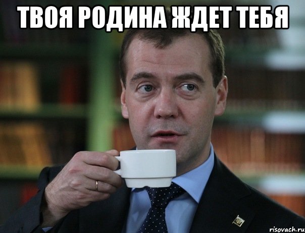 Твоя родина ждет тебя , Мем Медведев спок бро