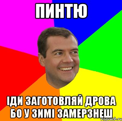 Пинтю Іди Заготовляй Дрова бо у зимі замерзнеш, Мем  Медведев advice