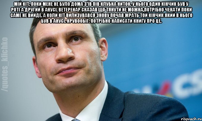 Мій кіт, поки мене не було дома з'їв пів клубка ниток. У нього один кінчик був у роті а другий в анусі. Ветеренар сказав що тянути не можна,потрібно чекати поки саме не вийде. А коли кіт вилизувався знову почав жрать той кінчик який в нього був в анусі. Крувообіг. Потрібно написати книгу про це. , Мем   Мем Кличко