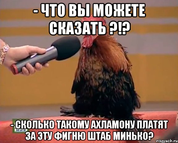 - что вы можете сказать ?!? - Сколько такому ахламону платят за эту фигню штаб Минько?, Мем Интервью с петухом