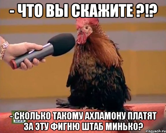 - что вы скажите ?!? - Сколько такому ахламону платят за эту фигню штаб Минько?, Мем Интервью с петухом