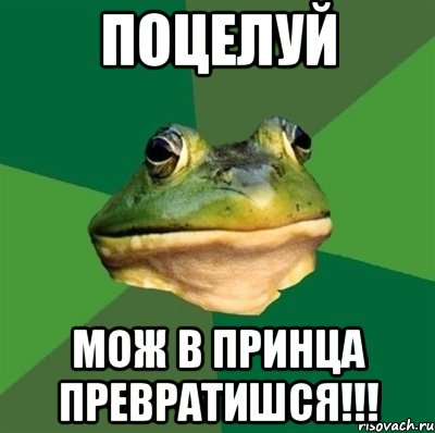 поцелуй мож в принца превратишся!!!