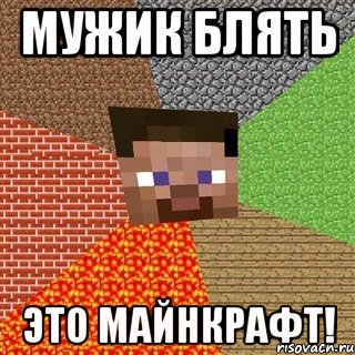 Мужик блять Это майнкрафт!, Мем Миникрафтер