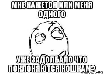 МНЕ КАЖЕТСЯ ИЛИ МЕНЯ ОДНОГО УЖЕ ЗАДОЛБАЛО ЧТО ПОКЛОНЯЮТСЯ КОШКАМ?, Мем Мне кажется или